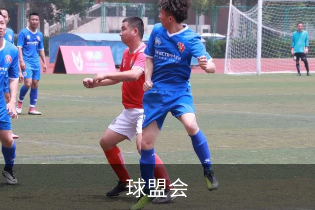 球盟会公司简介